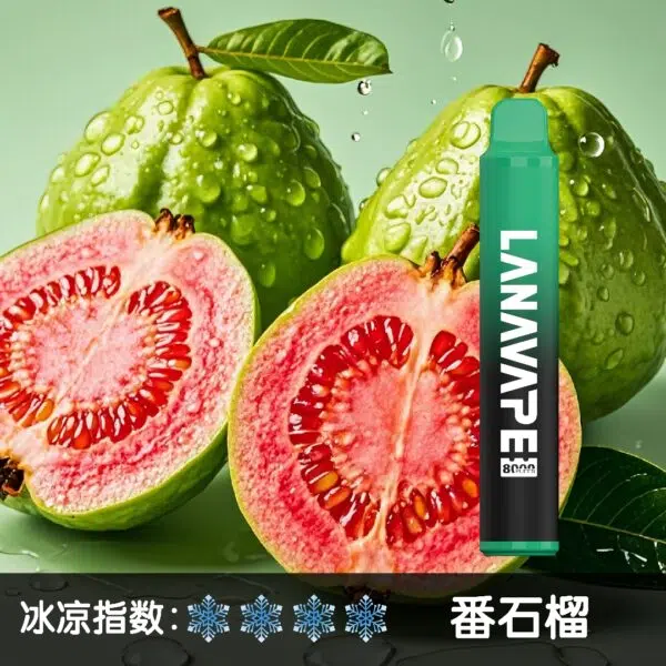 LANA8000口番石榴600x600jpgwebp 拓撲蒸汽天堂 LANATOP 台灣官網
